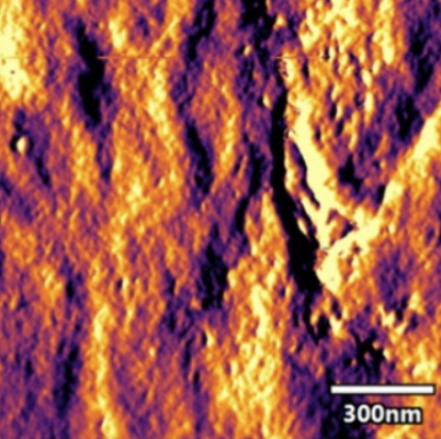 Langmuir