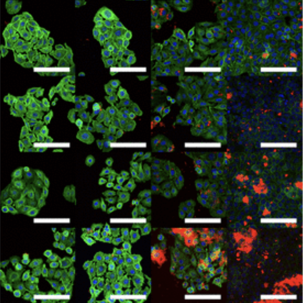 ACS
                    Applied Nanomaterials