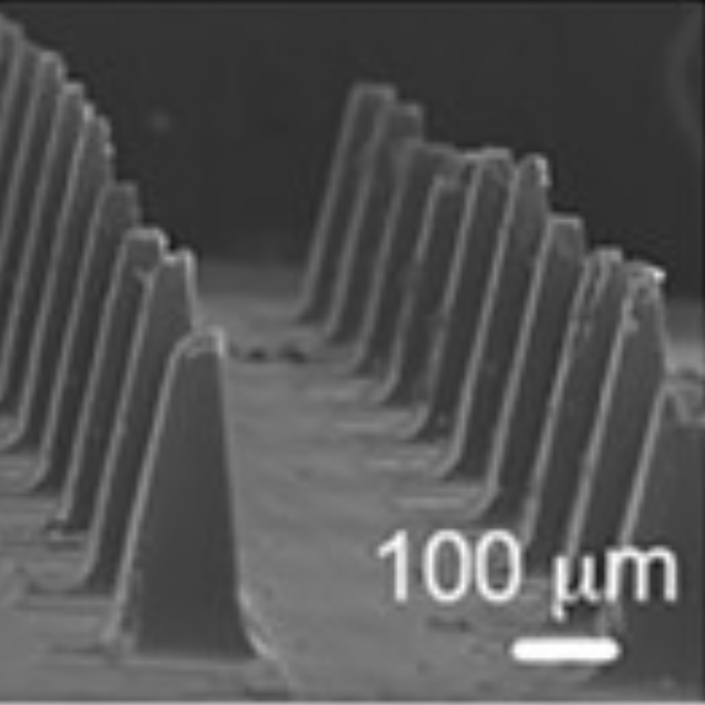 Advanced
                    Functional Materials